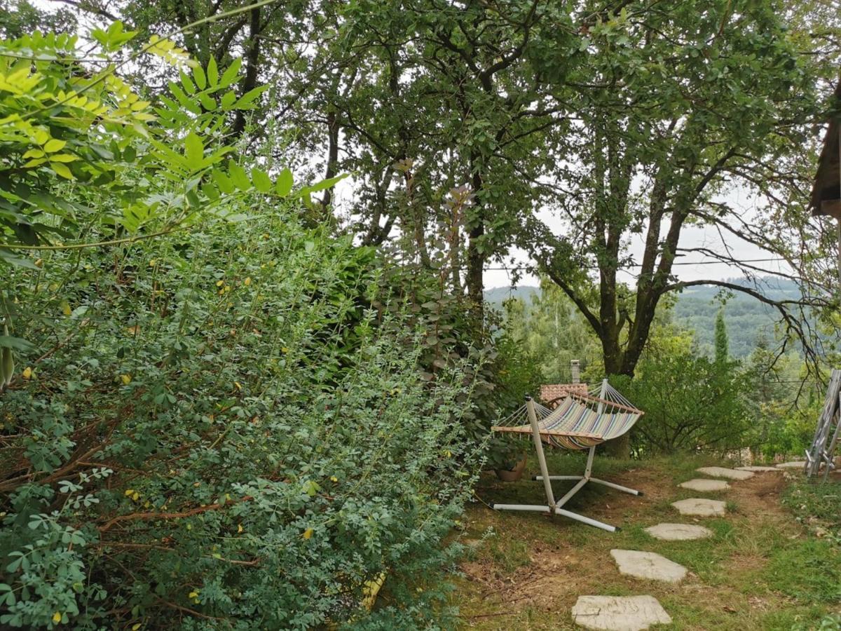 Chambre Chez L'Habitant A La Campagne Sidobre Burlats ภายนอก รูปภาพ